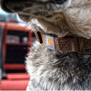 Brown Carhartt Dog Collar 